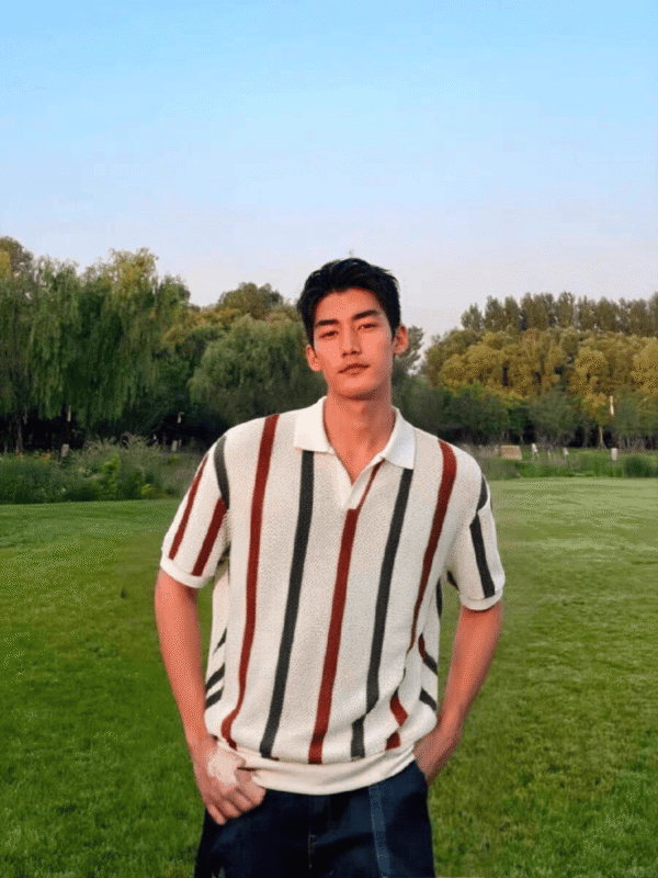 Korean Style Openwork Mesh Striped Polo Shirt Men, Summer Fashion Fitted Design Casual Short Sleeve Knit Top - Image 5